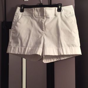 New York & Company Suiting 14” Shorts with Cuff